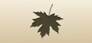 カエデの葉のシルエット