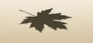 カエデの葉のシルエット