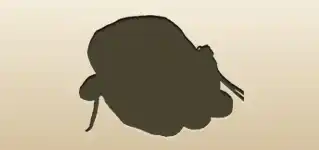 ルーン文字のシルエット