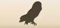 フクロウのシルエット