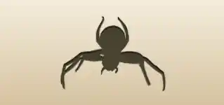 クモのシルエット