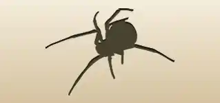 クモのシルエット
