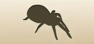 クモのシルエット