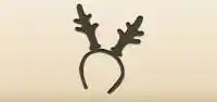 Reindeer Antlers