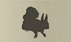 リス