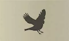 ウソ