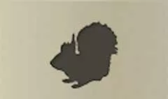 リス