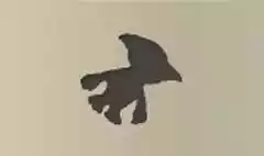 ノーム