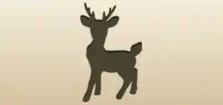 Reindeer