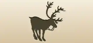 Reindeer