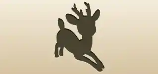 Reindeer