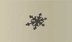 Snow Flake silhouette