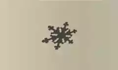 雪の結晶