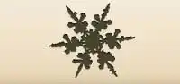 Snowflake silhouette