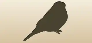 Bullfinch