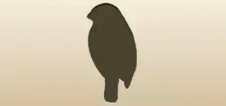 Bullfinch