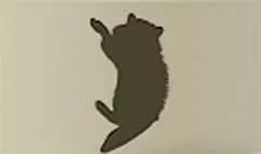 アライグマのシルエット