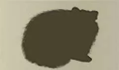 アライグマのシルエット