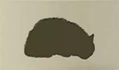 ネコのシルエット