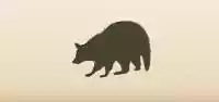アライグマのシルエット