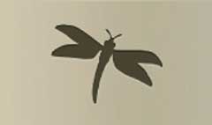 Dragonfly silhouette