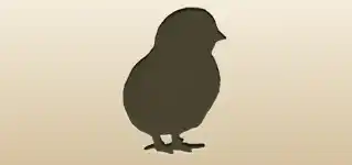 ひよこ