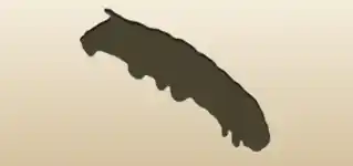 いも虫