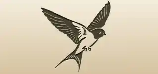 Swallow