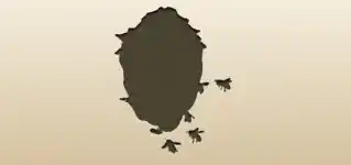 蜂の巣