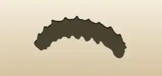 いも虫