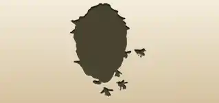蜂の巣