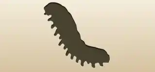 いも虫