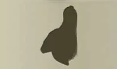 兜
