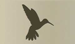 Hummingbird silhouette