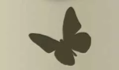 ちょうちょう