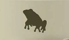 カエル