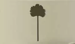 扇