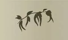 唐辛子