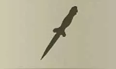 短剣
