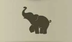 象