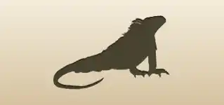 イグアナ