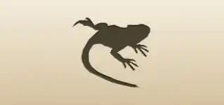 イグアナ