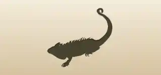 イグアナ