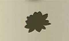 Lotus silhouette