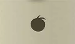 Peach silhouette