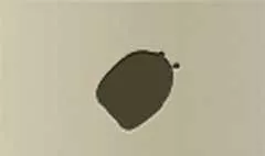 Purse silhouette