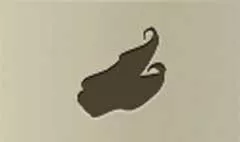 Shoes silhouette