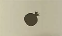 Pomegranate silhouette