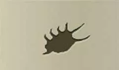 Shell silhouette