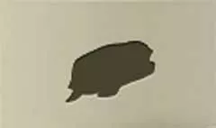 Turtle silhouette